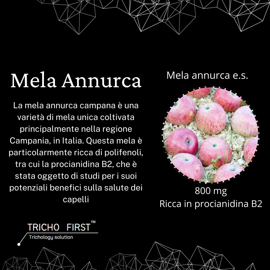 ANNURBULB