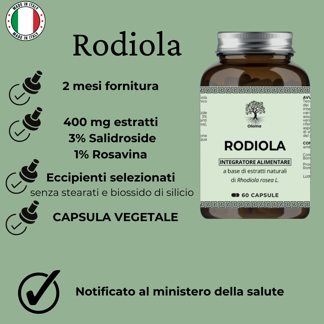Rodiola Oloma