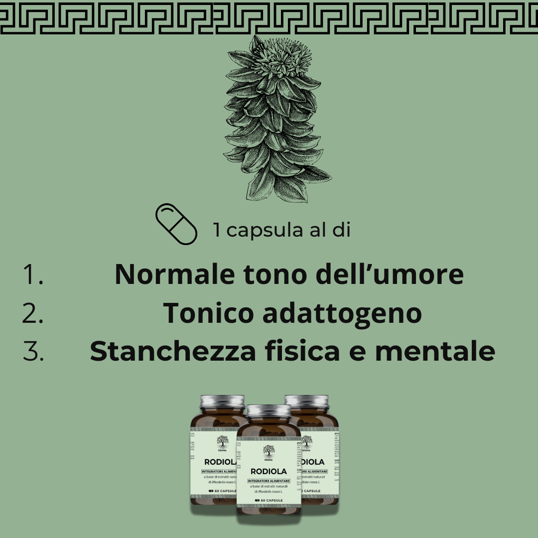 Rodiola Oloma