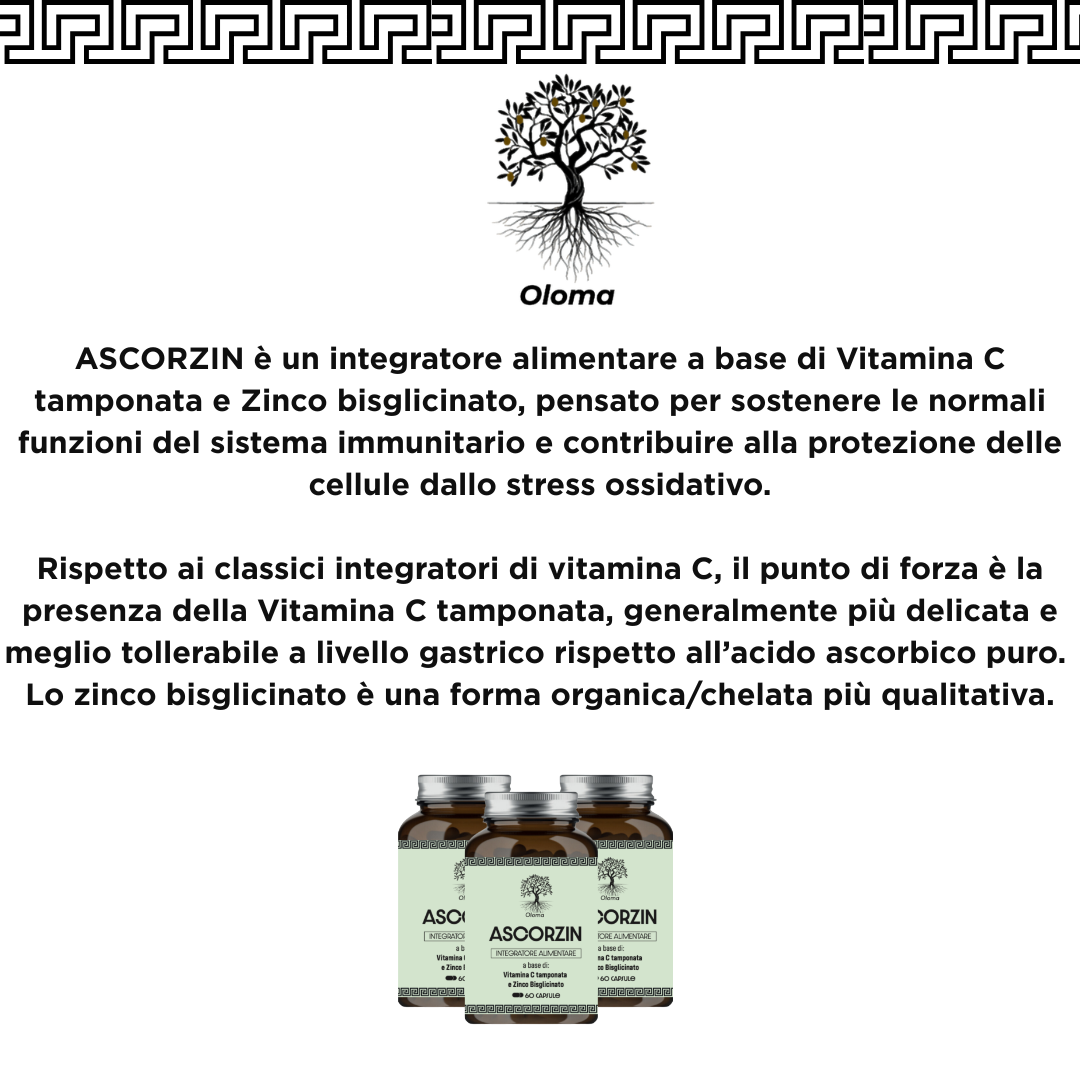 ASCORZIN  - VITAMINA C TAMPONATA E ZINCO BISGLICINATO 60 CAPSULE