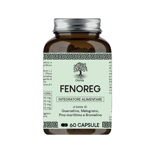 FENOREG