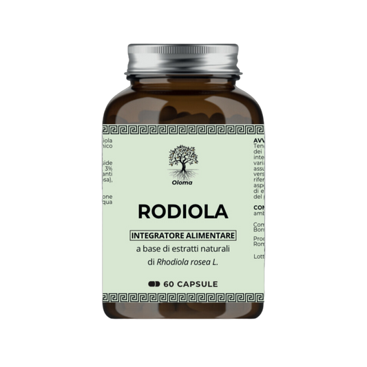 Rodiola Oloma